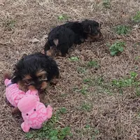 processed/e7d7943d-17e5-4aca-9493-fa893f88b1c9/facility/198524db-cb39-4190-b24b-970ba428eec5