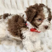 processed/e7d7943d-17e5-4aca-9493-fa893f88b1c9/facility/4d0d3f8a-6e2c-4144-8289-66116203525b