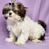 processed/e7d7943d-17e5-4aca-9493-fa893f88b1c9/facility/857ad39b-7bc9-4266-bd32-4870bd7d09f0