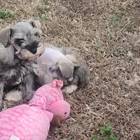 processed/e7d7943d-17e5-4aca-9493-fa893f88b1c9/facility/8fa093a6-42d2-4ff8-8ef3-6397a79b9f14