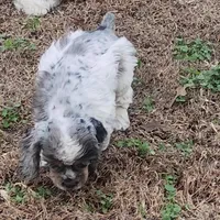 processed/e7d7943d-17e5-4aca-9493-fa893f88b1c9/facility/ea380a21-03e7-4686-93a8-45b8311eff6b