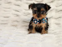 processed/e7d7943d-17e5-4aca-9493-fa893f88b1c9/listing/2987acdb-90a5-4e48-9191-c678b14edc2b/082e8a33-83f8-4911-9e86-be809fa3d514