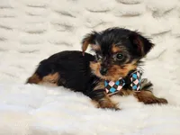 processed/e7d7943d-17e5-4aca-9493-fa893f88b1c9/listing/2987acdb-90a5-4e48-9191-c678b14edc2b/6fc407e3-ad09-4cca-be96-f206739afea2