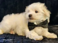 processed/e7d7943d-17e5-4aca-9493-fa893f88b1c9/listing/2dbc435d-fb4b-4b6d-81d3-757bcb7aa2e3/539d6e7d-787d-4be9-936f-d2f5ea2b89b7