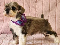 processed/e7d7943d-17e5-4aca-9493-fa893f88b1c9/listing/79bca84a-85ea-4a9b-9a6a-427276b9f386/38cc9a07-c187-4698-bf0a-1444a7d98b8f