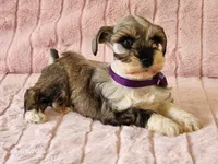 processed/e7d7943d-17e5-4aca-9493-fa893f88b1c9/listing/79bca84a-85ea-4a9b-9a6a-427276b9f386/fe1c7cfe-6d8d-4cfb-ad2a-5f39da4a6797