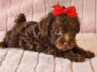 processed/e7d7943d-17e5-4aca-9493-fa893f88b1c9/listing/863c3438-ae9c-45c5-adf8-8f1b90304147/b821bb78-5f0b-4526-8f5b-dc26ddd4ae08