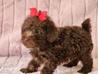 processed/e7d7943d-17e5-4aca-9493-fa893f88b1c9/listing/863c3438-ae9c-45c5-adf8-8f1b90304147/bea15b0f-ea2f-44c4-8761-394f81809beb