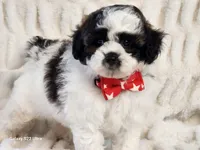 processed/e7d7943d-17e5-4aca-9493-fa893f88b1c9/listing/8a79f256-911f-4605-b77f-d70fe5614f98/57997129-4339-49ab-b6b5-2fa710ecd517