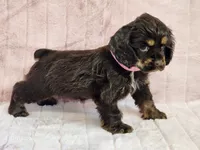 processed/e7d7943d-17e5-4aca-9493-fa893f88b1c9/listing/9dca43e4-55c0-4a95-b7d2-dcdcb68ed90e/6cf883a2-7c66-453d-9321-ec5ef359c35c