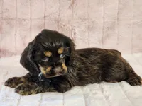 processed/e7d7943d-17e5-4aca-9493-fa893f88b1c9/listing/9dca43e4-55c0-4a95-b7d2-dcdcb68ed90e/919930e5-f07b-499c-bb66-a6ef007994aa