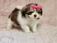 processed/e7d7943d-17e5-4aca-9493-fa893f88b1c9/listing/af4f9675-1ff4-45e5-a759-c488bd891188/b7b1e568-feb5-472a-89e0-f2d3995159cb