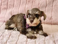 processed/e7d7943d-17e5-4aca-9493-fa893f88b1c9/listing/b09982f9-492c-442f-9e2e-bf60d9964cb3/09e2d4f3-7bbb-489f-a105-1977eba79585