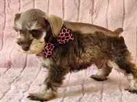 processed/e7d7943d-17e5-4aca-9493-fa893f88b1c9/listing/b09982f9-492c-442f-9e2e-bf60d9964cb3/80a16bf9-8d1e-4b0e-b9fc-1d5418a1407d