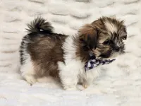 processed/e7d7943d-17e5-4aca-9493-fa893f88b1c9/listing/d4abf075-bb69-4b86-8956-9df75a1c6574/4695242c-79fb-4f25-81f9-6fc4126b7877