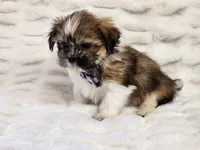 processed/e7d7943d-17e5-4aca-9493-fa893f88b1c9/listing/d4abf075-bb69-4b86-8956-9df75a1c6574/582eb659-209b-4b39-9269-8cf7aa701e46