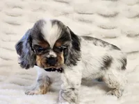 processed/e7d7943d-17e5-4aca-9493-fa893f88b1c9/listing/e5b8c1e0-6b52-47e2-9cc3-cdccab538693/54a392ae-c068-4b1e-b809-157a59be7e1f