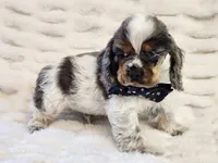 processed/e7d7943d-17e5-4aca-9493-fa893f88b1c9/listing/e5b8c1e0-6b52-47e2-9cc3-cdccab538693/e6ad700a-5af6-433b-a1e8-179740336542