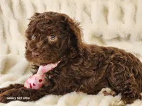 processed/e7d7943d-17e5-4aca-9493-fa893f88b1c9/listing/fc836670-8d57-4305-b1dc-de98595206dd/e1cb0dd6-19c2-4f6f-9b45-dec5111ba668