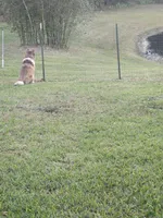 processed/e7e2e033-240a-4101-b836-33e5f2438268/facility/0bdd7a42-b828-43e3-98e6-35b39f716482