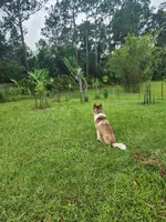 processed/e7e2e033-240a-4101-b836-33e5f2438268/facility/a0420293-7696-497e-b853-00d74e489a71