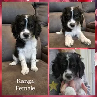 processed/e80b6e9c-7c54-45ee-bcae-0f12ca556b64/listing/7688b61d-fe42-4cea-9a9b-f598aefc022a/88069246-e76b-4bba-abca-ba8c242a1fb1