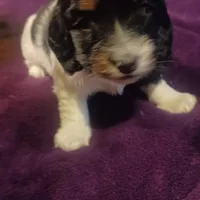 processed/e80c8f84-0811-49f5-9ec6-5f5ce8a42c9a/facility/52897539-9394-4948-9a68-9900ef250239