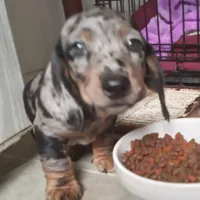 processed/e80c8f84-0811-49f5-9ec6-5f5ce8a42c9a/facility/67d803f3-75ab-48fd-99a9-28169e2930ae