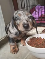 processed/e80c8f84-0811-49f5-9ec6-5f5ce8a42c9a/facility/67d803f3-75ab-48fd-99a9-28169e2930ae