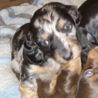 processed/e80c8f84-0811-49f5-9ec6-5f5ce8a42c9a/facility/76e3349a-ebff-43eb-85f8-e5a6db31e782