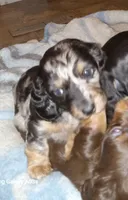 processed/e80c8f84-0811-49f5-9ec6-5f5ce8a42c9a/facility/76e3349a-ebff-43eb-85f8-e5a6db31e782