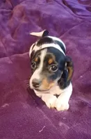 processed/e80c8f84-0811-49f5-9ec6-5f5ce8a42c9a/facility/78ae05bc-3fad-4c21-8723-07937c9c5996