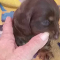 processed/e80c8f84-0811-49f5-9ec6-5f5ce8a42c9a/facility/92ac8c8a-1395-4458-ad29-58fc15bb3782