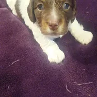 processed/e80c8f84-0811-49f5-9ec6-5f5ce8a42c9a/facility/b9663b81-da0b-48ff-ab97-1a734c82475f