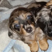 processed/e80c8f84-0811-49f5-9ec6-5f5ce8a42c9a/facility/ca8c10d9-81b8-4260-98a5-6731ec2600d2