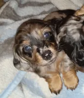 processed/e80c8f84-0811-49f5-9ec6-5f5ce8a42c9a/facility/ca8c10d9-81b8-4260-98a5-6731ec2600d2