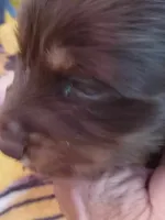 processed/e80c8f84-0811-49f5-9ec6-5f5ce8a42c9a/facility/d57a4d88-9bb2-4e16-874f-bb047c838935