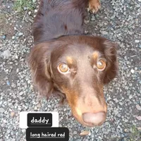 processed/e80c8f84-0811-49f5-9ec6-5f5ce8a42c9a/facility/d76be54e-3834-4c7f-ad2b-e0ee84ac334d