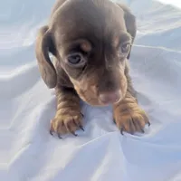 processed/e80c8f84-0811-49f5-9ec6-5f5ce8a42c9a/facility/d88202ac-5ead-43fb-8388-01994b35b42f