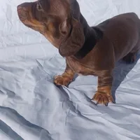 processed/e80c8f84-0811-49f5-9ec6-5f5ce8a42c9a/facility/df090bff-6476-423f-97ad-a22f2d9842b5