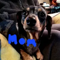 processed/e80c8f84-0811-49f5-9ec6-5f5ce8a42c9a/facility/fc70fbb5-8198-4eac-913d-1f58d1445e2e