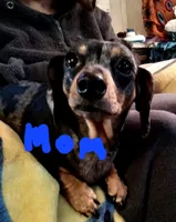 processed/e80c8f84-0811-49f5-9ec6-5f5ce8a42c9a/facility/fc70fbb5-8198-4eac-913d-1f58d1445e2e