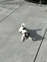 processed/e80f7a70-b1fd-47e9-9070-637117b70272/listing/4a7696ee-c20e-4e02-aa3a-b9b28d8b2998/1b565051-f090-4660-ab25-3e340d2f387d