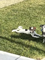 processed/e80f7a70-b1fd-47e9-9070-637117b70272/listing/4a7696ee-c20e-4e02-aa3a-b9b28d8b2998/336c5a2d-bef9-4c15-838f-ee3bdb06b8a6