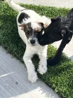 processed/e80f7a70-b1fd-47e9-9070-637117b70272/listing/4a7696ee-c20e-4e02-aa3a-b9b28d8b2998/69ea0c80-f8a9-4463-b0df-fa66219e81a7