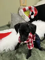 processed/e80f7a70-b1fd-47e9-9070-637117b70272/listing/b44aa4eb-ade3-44e9-a068-3f51dc8f3551/0811a724-838f-417c-b42d-7f29ab182ed2