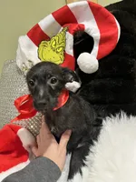 processed/e80f7a70-b1fd-47e9-9070-637117b70272/listing/b44aa4eb-ade3-44e9-a068-3f51dc8f3551/69c551d3-eae9-4ecd-926f-d5aa7ac35978