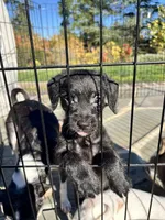 processed/e80f7a70-b1fd-47e9-9070-637117b70272/listing/b44aa4eb-ade3-44e9-a068-3f51dc8f3551/6a01b950-3986-45d2-a8bf-3c4fab1a9ece