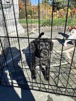 processed/e80f7a70-b1fd-47e9-9070-637117b70272/listing/b44aa4eb-ade3-44e9-a068-3f51dc8f3551/8d7dde53-f301-47ff-8ee7-ae84a1837883