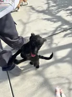 processed/e80f7a70-b1fd-47e9-9070-637117b70272/listing/b44aa4eb-ade3-44e9-a068-3f51dc8f3551/ba833e33-9060-4bf9-a450-b0f3e2fb4981